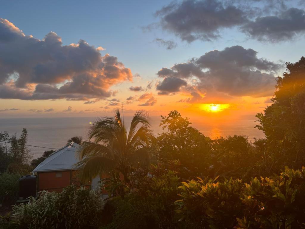 "Sunrise Inn" Nature Island Dominica Penville Экстерьер фото