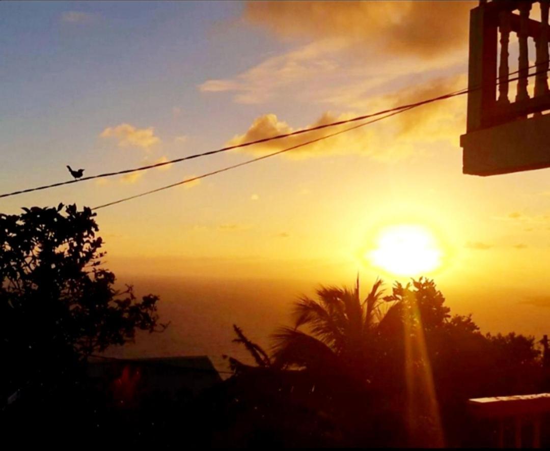 "Sunrise Inn" Nature Island Dominica Penville Экстерьер фото